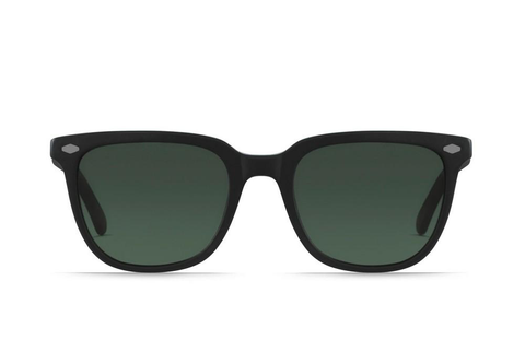 RAEN | Arlo | Matte Black + Matte Brindle / Green Polarized | 53